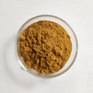 Extrait de Salvia Miltiorrhiza Acide Salvianolique B7% (HPLC) Daiclzéine 5%