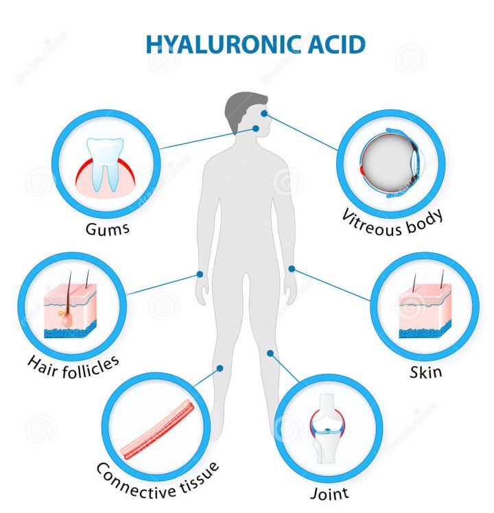 Hyaluronate de sodium