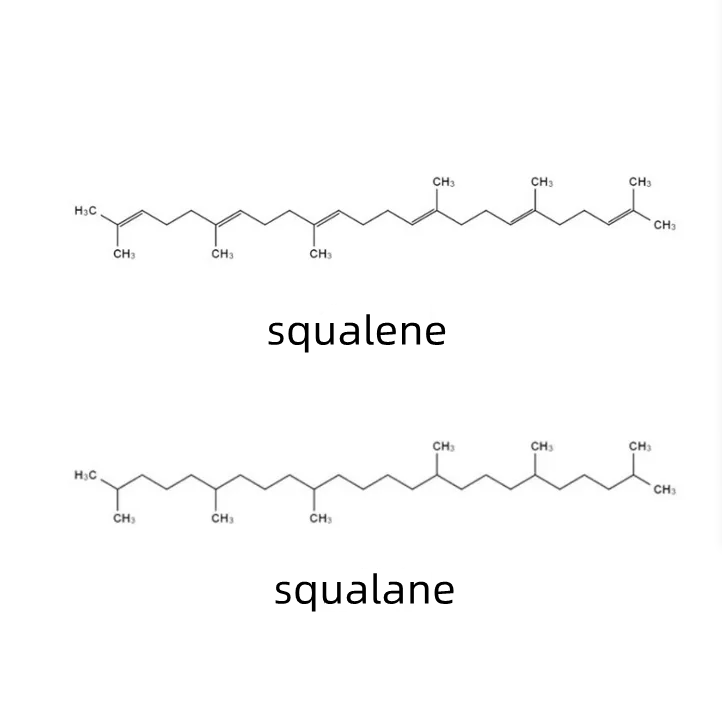 Squalène